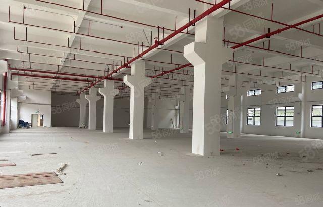 博罗龙溪全新原房东标准厂房出租可分租