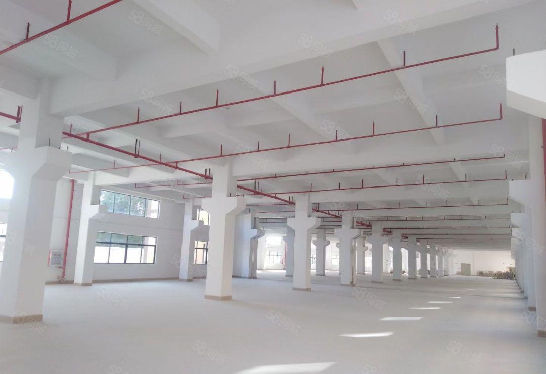 博罗县石湾科技园 红本双证独院标准厂房出租