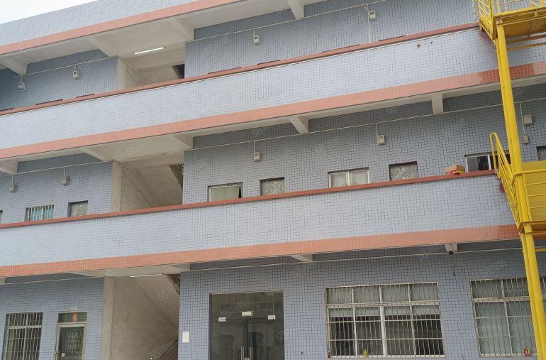 原房东工业用地独门独院单一层，证件齐全，可办环评，现低价出租