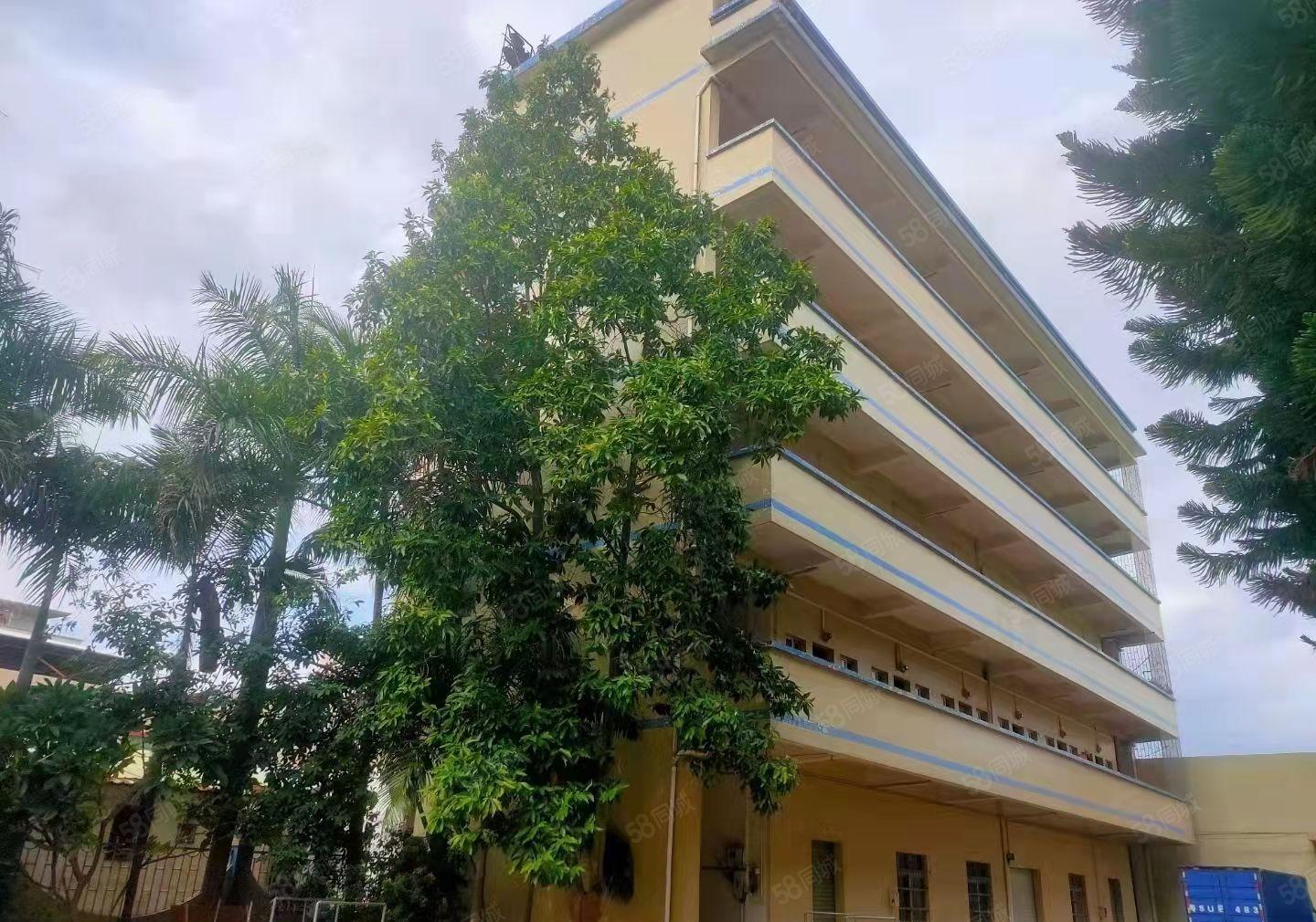 新出独院标准厂房出租，配套齐全，共8千平，证件齐全，无公摊