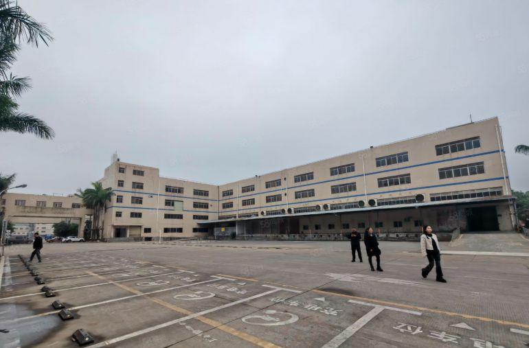 8元！8元！原房东直租一楼8米无公摊红本证件齐全 环评秒批