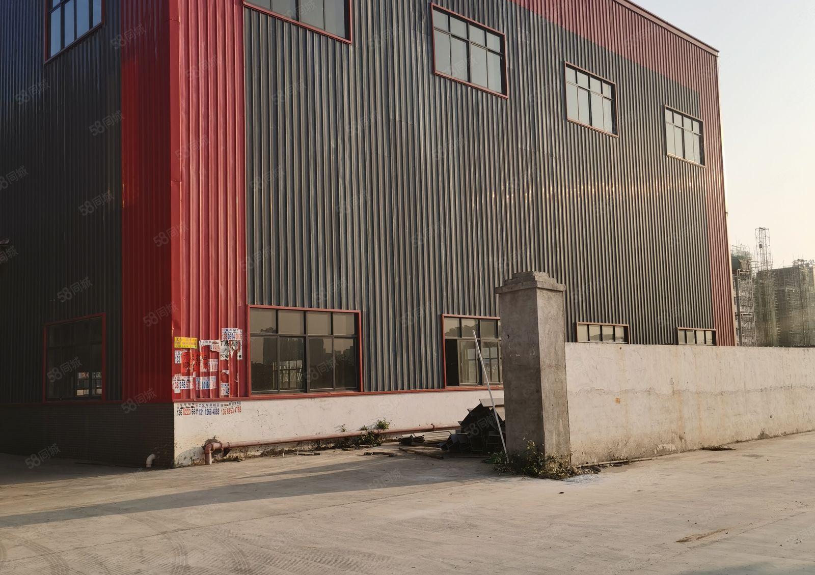 独院单一层13米滴水钢构厂房出租