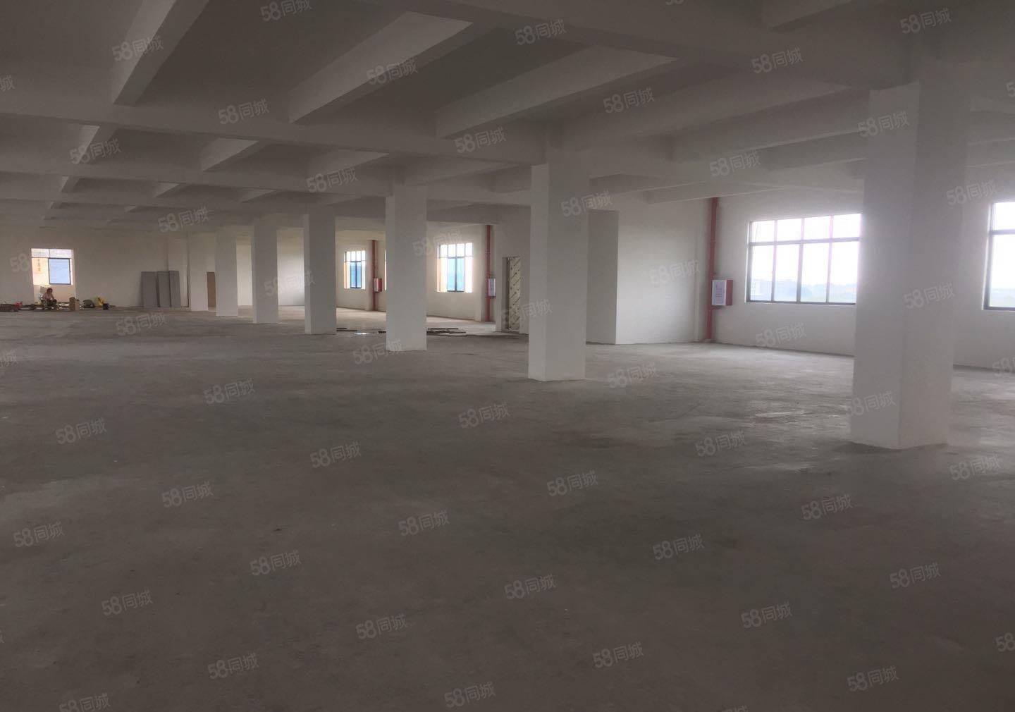 石湾高速路口原房东全新厂房10000平方，可办环评，形象好，