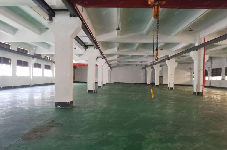 博罗县原房东独院花园式标准厂房低价出租，可分租可办环坪。