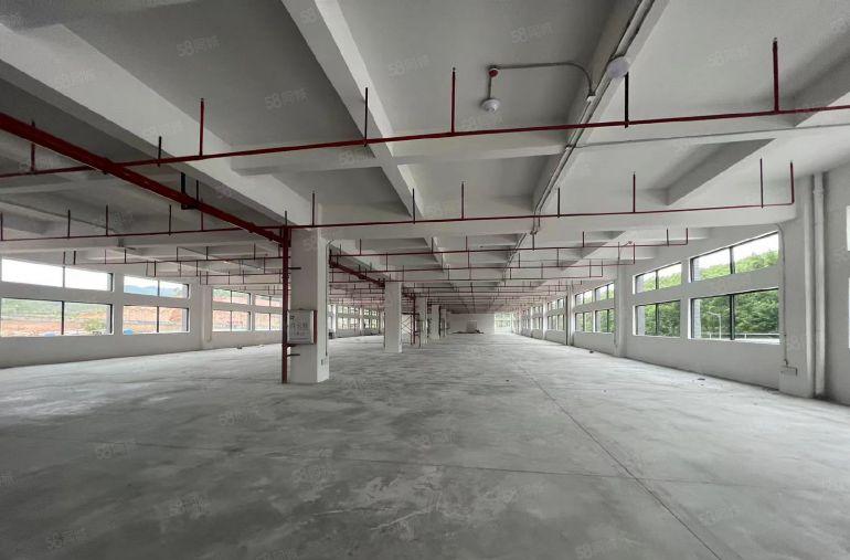 博罗独院标准厂房一楼7.8米一手房东仅租7元房东负责装修