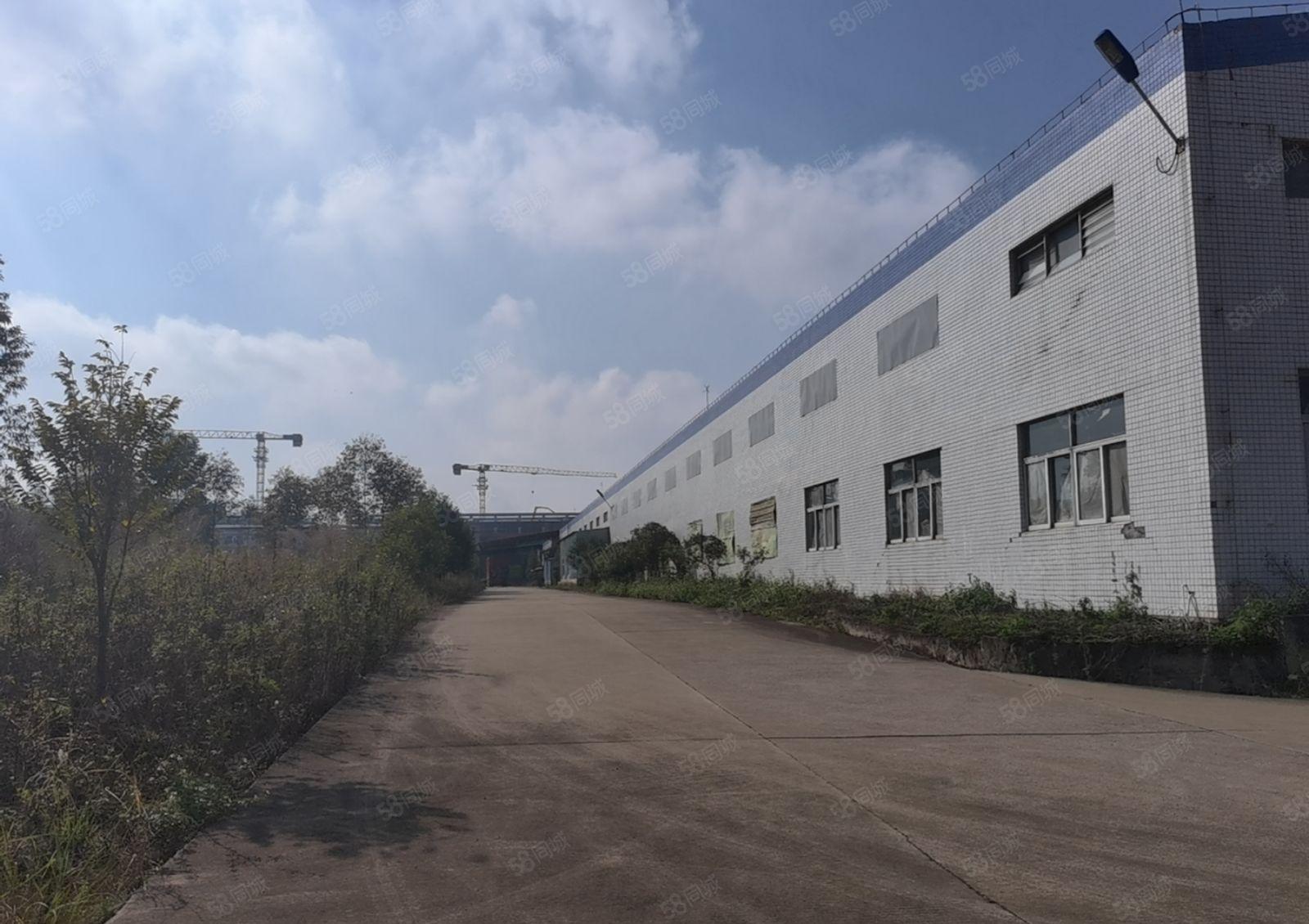 博罗杨村国道旁15000平方独院钢构厂房仓库出租 可分租