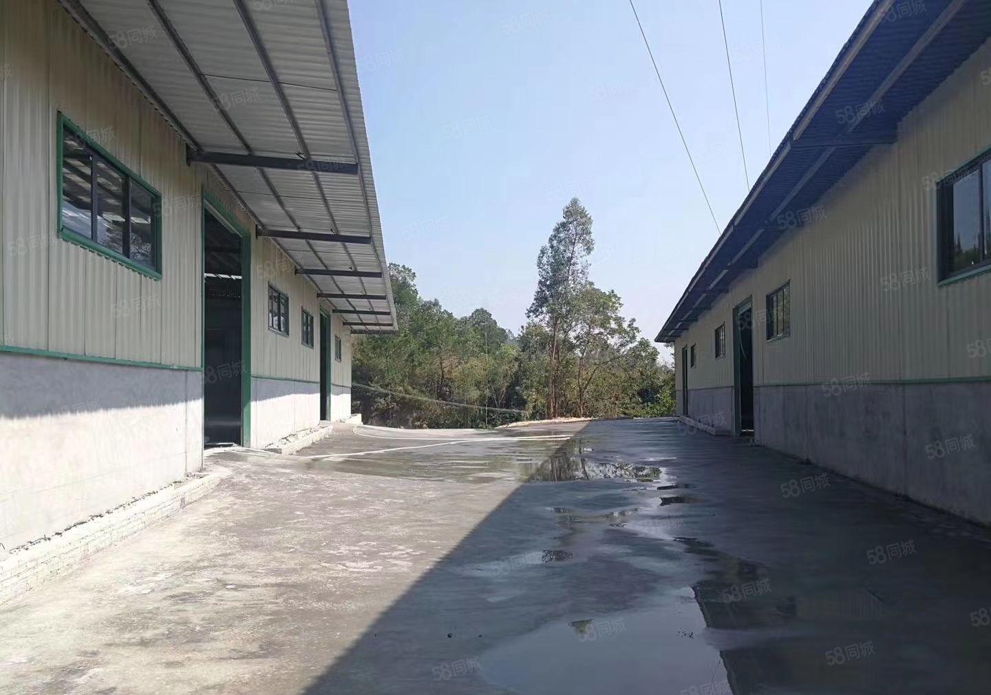 惠城区水口附近原房东钢构800平方厂房出租