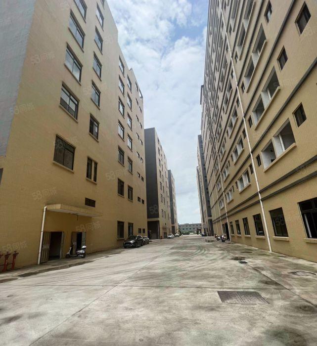 园洲实际面积8元全新原房东厂房招租好招工可分租