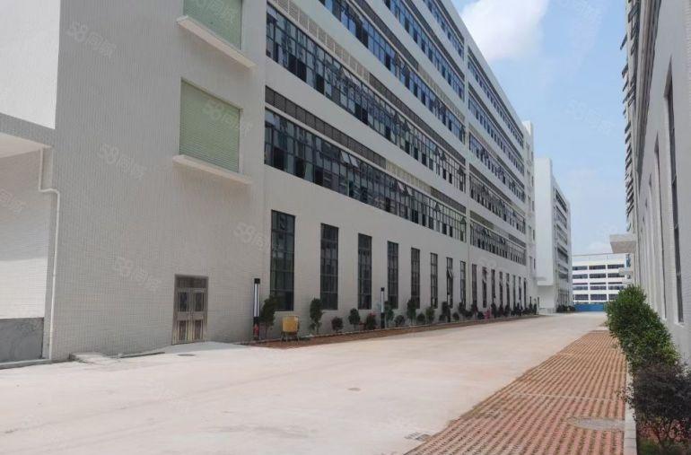 石湾千亿园红本厂房低价出租30000平，大小可分租高速出口旁