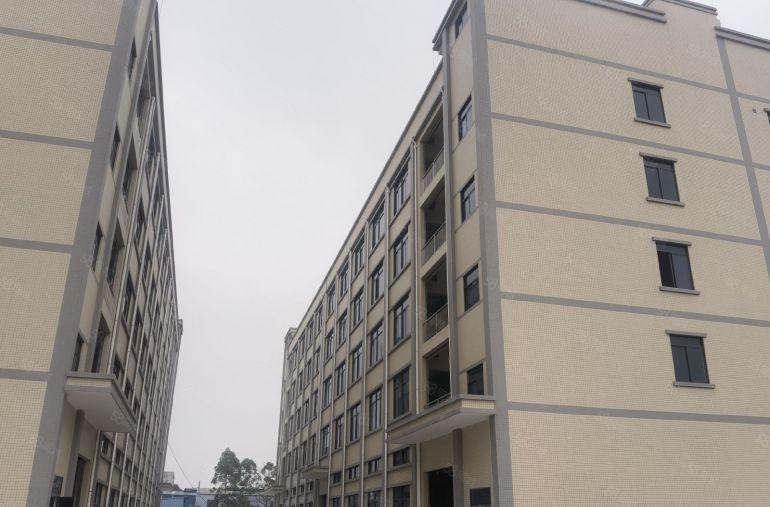 园洲全新独院标准厂房，空地超大