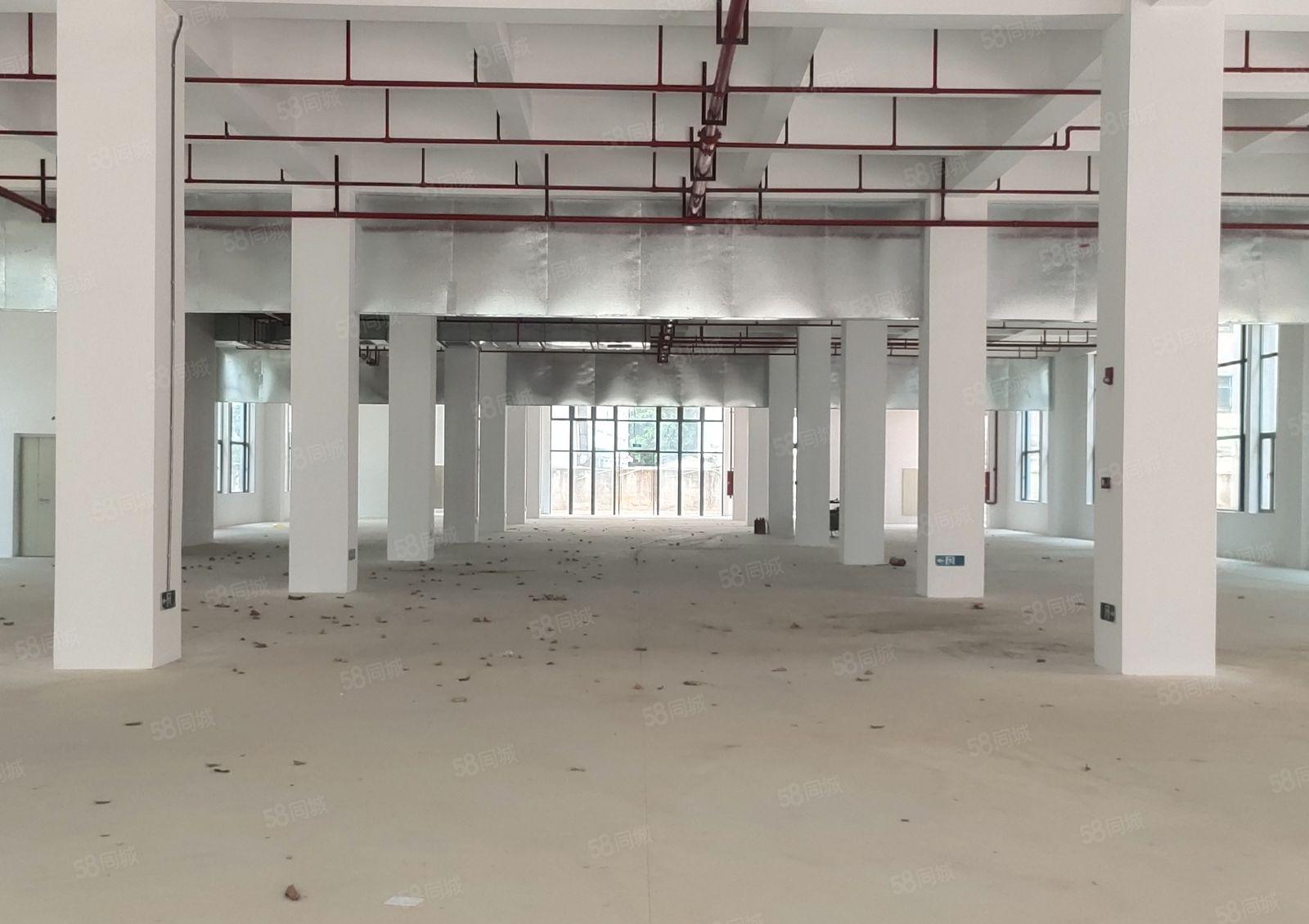 园洲高新产业园花园式全新重工业红本双证厂房政府扶持项目