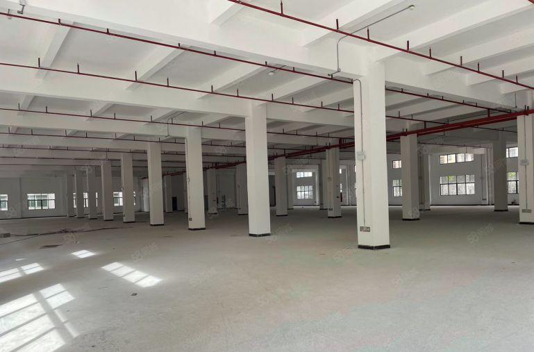 石湾镇全新标准独院厂房出租面积6400平方