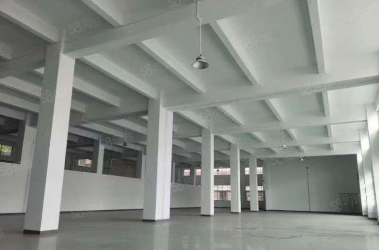 博罗园洲1万平原房东厂房仓库出租，500平起分，可办环评