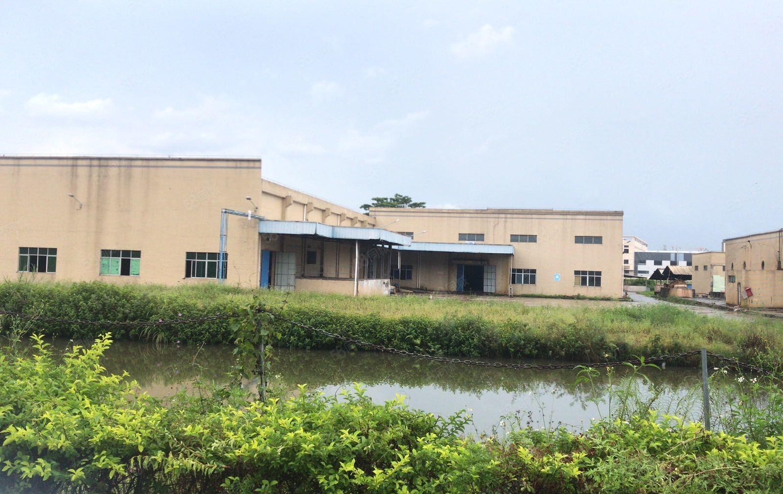 义和镇原房东单一层红本厂房出租