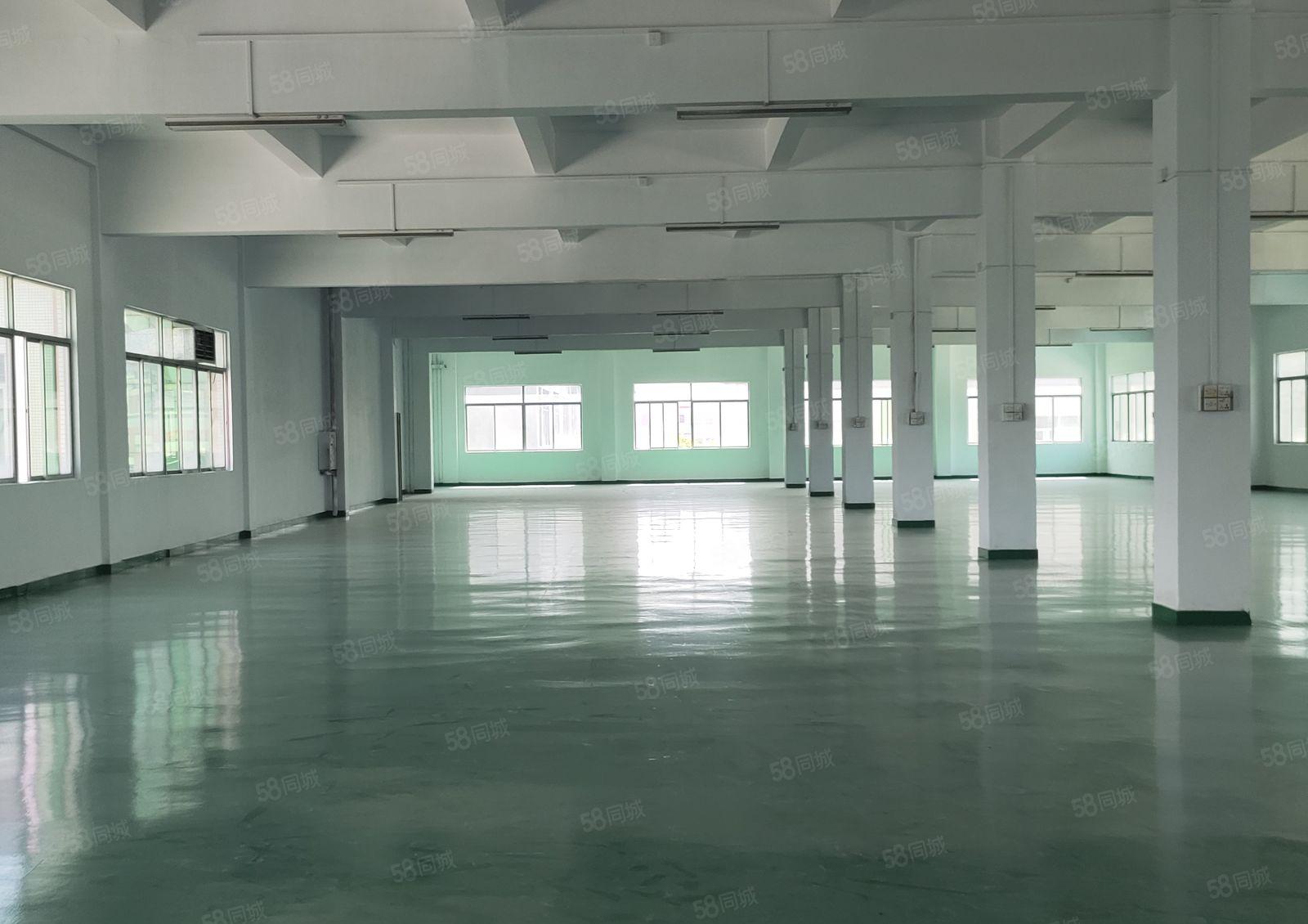 石湾镇源头工业区新出楼上分租一整层1400平方易招工