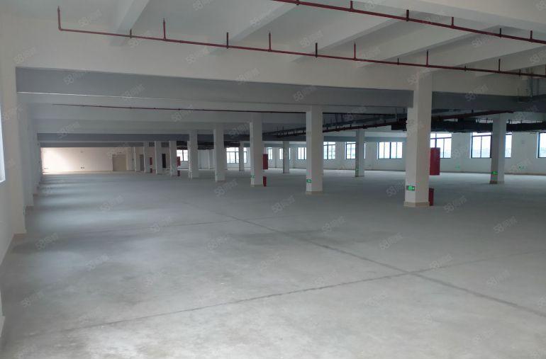 500平方起分园洲工业区9元起租证件齐全可办环评可仓库可生产