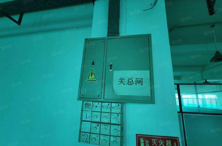 园洲国道边本地业主实地面积分租，关系好