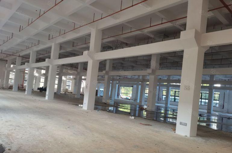 石湾和园洲多个一楼厂房出租，500平起分不赚电费