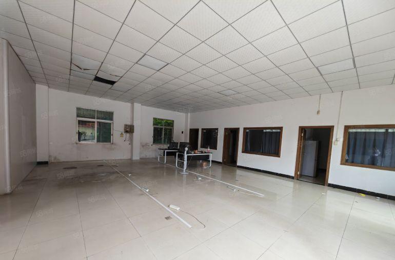 园洲独门独院标准单一层厂房9300平，价格便宜，豪华装修