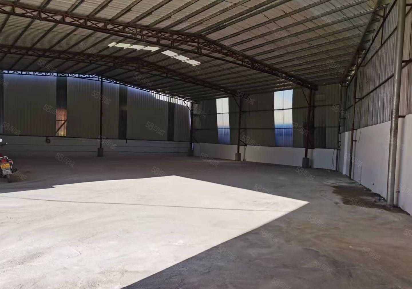 园洲镇新出钢结构厂房700宿舍300租金14电按需交通方便