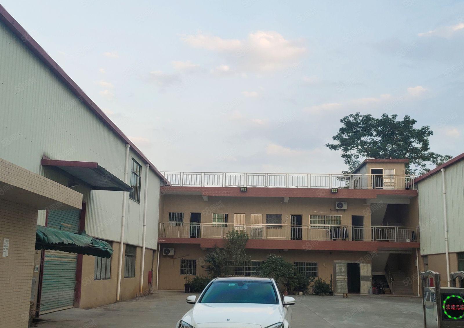 园洲镇原房东単一层独院4500平方超长免租期电可过户