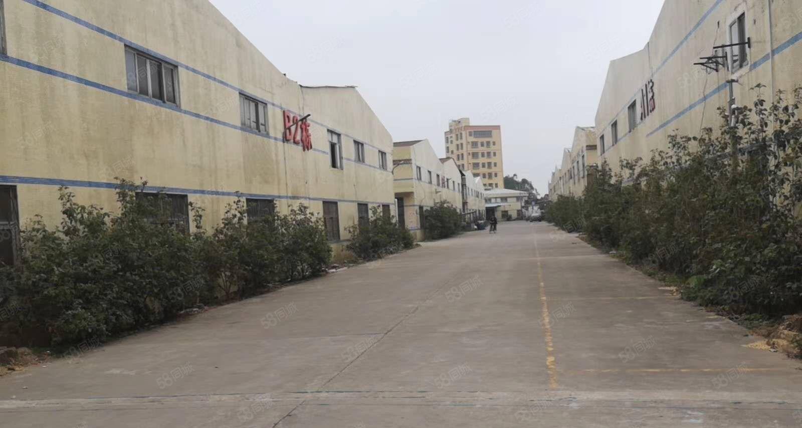 龙溪园区独门独院  超大空地  随时可看