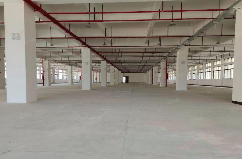 厂房出租仓库出租独门独院惠州市博罗罗阳镇原房东标准厂房可分租