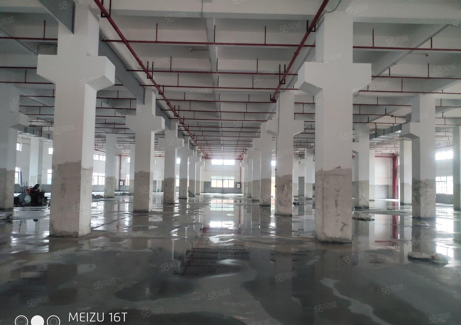 惠州市博罗县龙溪镇原房东独院16500平方厂房仓库出租