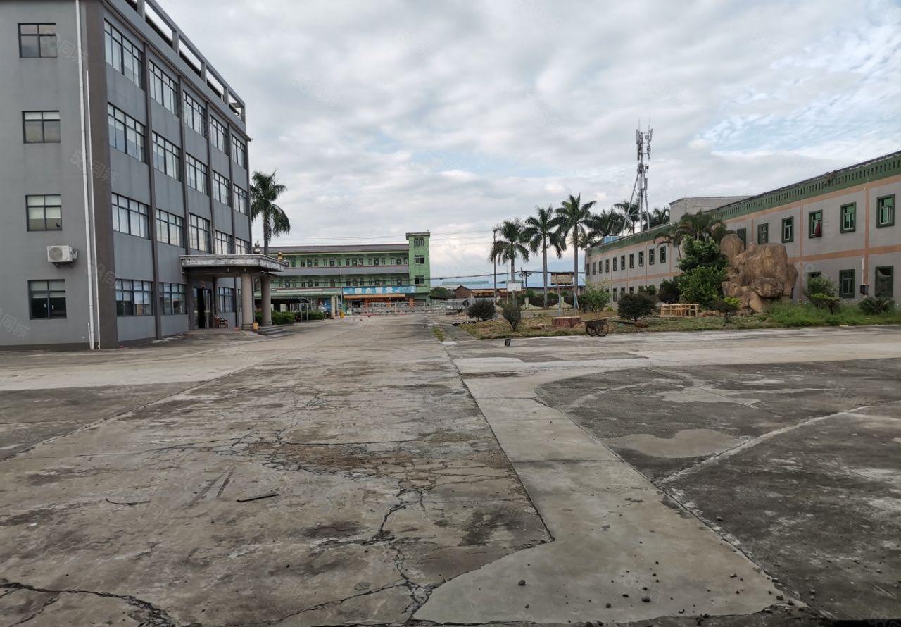 园洲原房东花园式红本钢构厂房40000