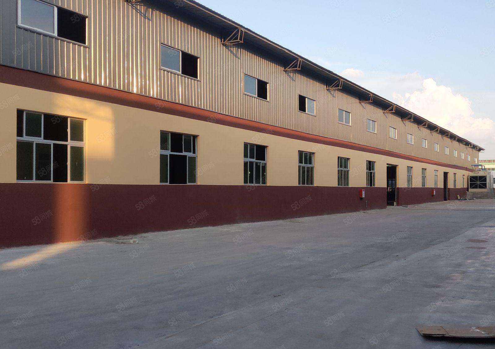 园洲镇原房东独院标准单一层钢构仓库厂房出租