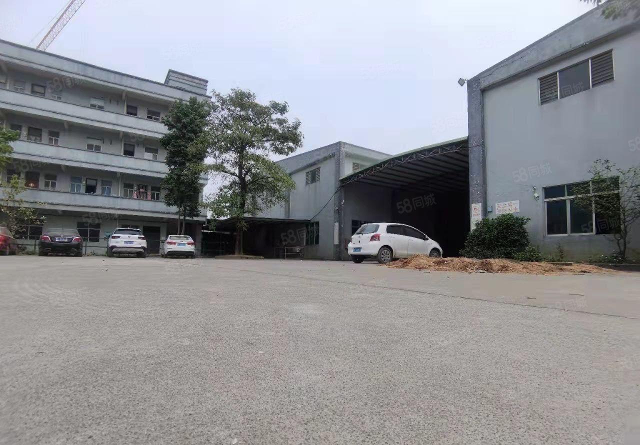 龙溪龙桥大道单一层加标准厂房24500平方出租