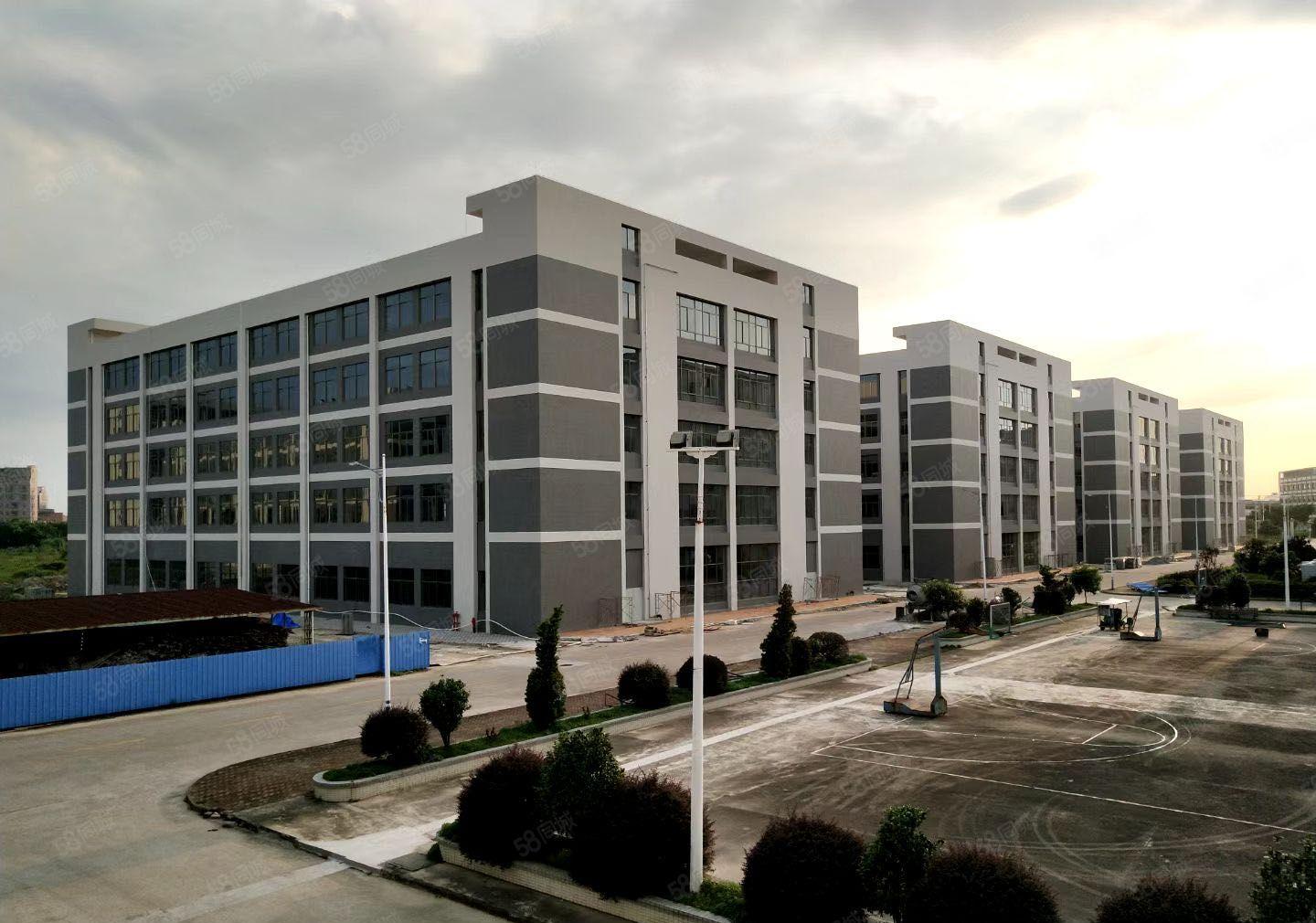 博罗县石湾科技园 红本双证独院标准厂房出租