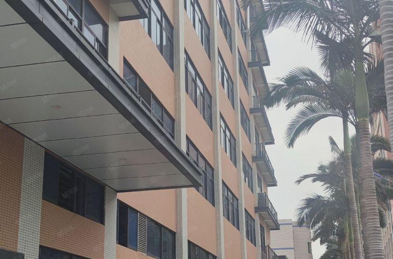 石湾3200平工业园区厂房出租绿化好可分租大车可进