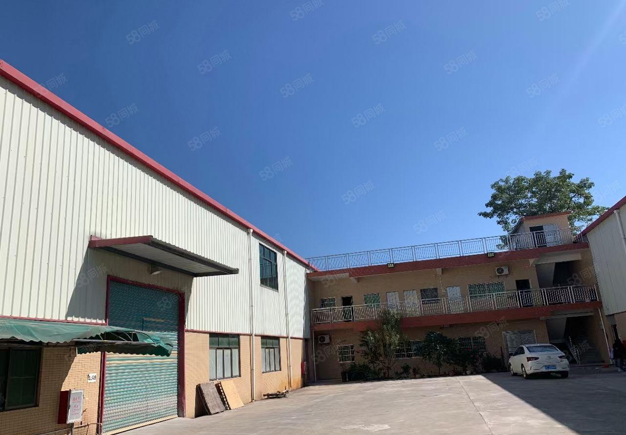 园洲全新独门独院单一层厂房出租