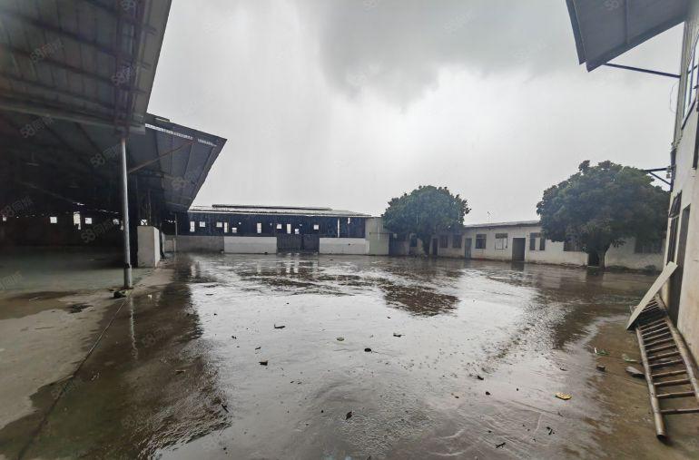 园洲靠近企刚刚搬空原房东独院单一层1950平 工业区里