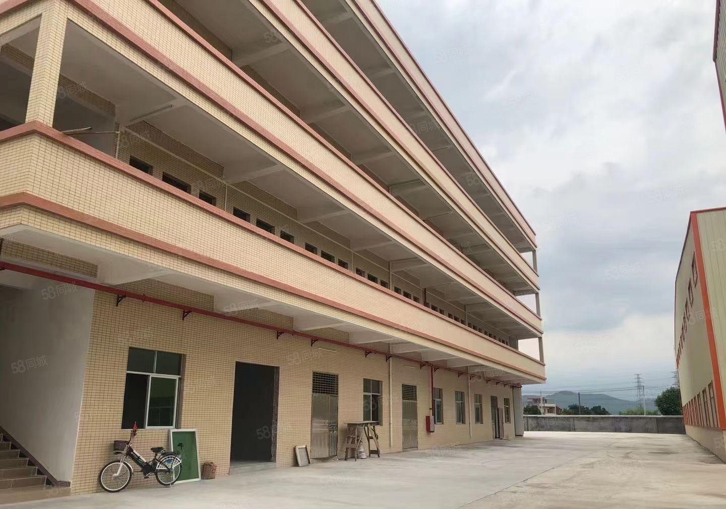 石湾镇全新钢构厂房出租26000平方滴水10米适合重工业