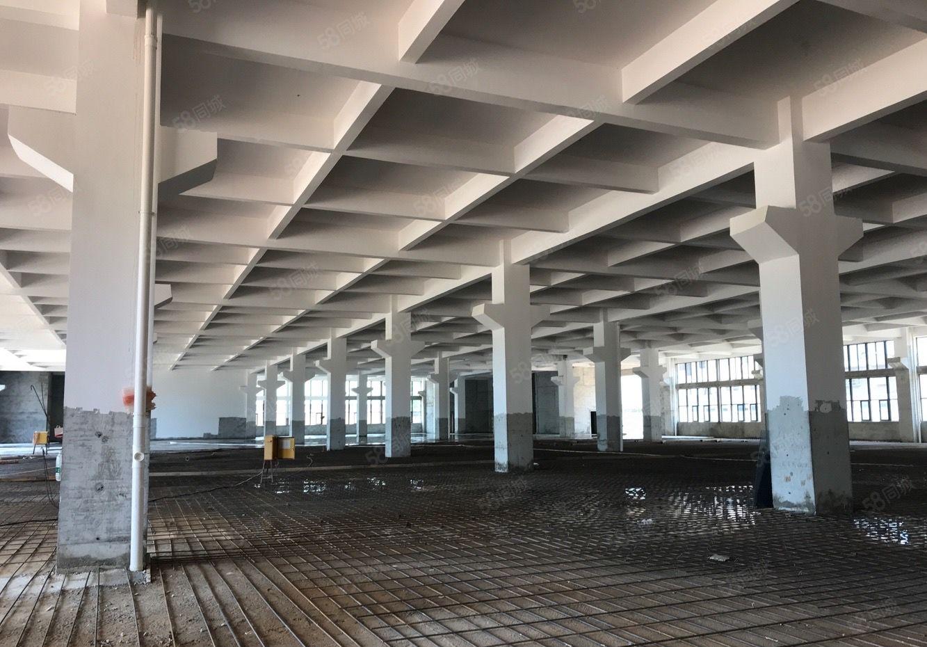 原房东厂房出租，可隔成独门独院