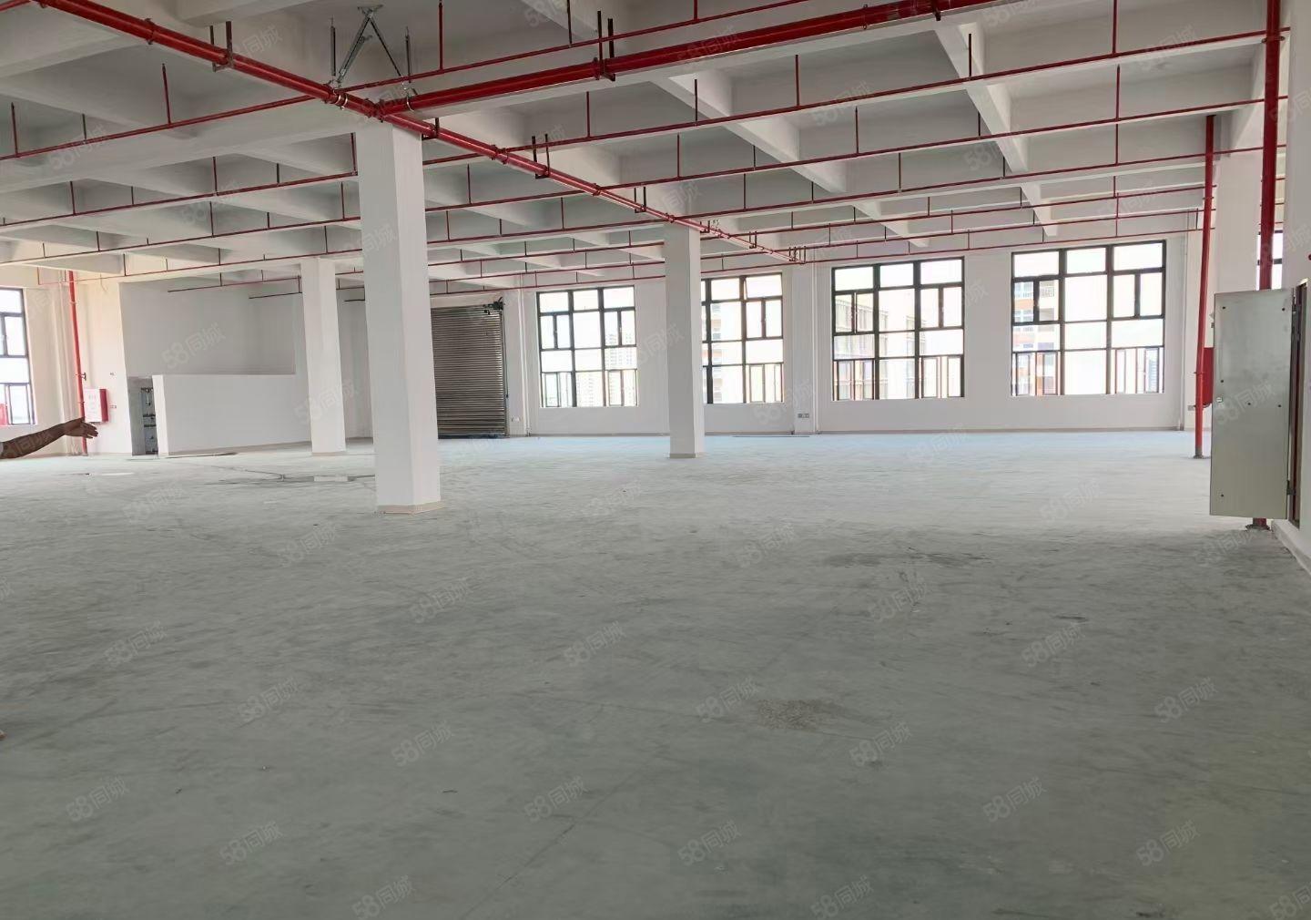 石湾科技园全新独院分租四楼6600平方