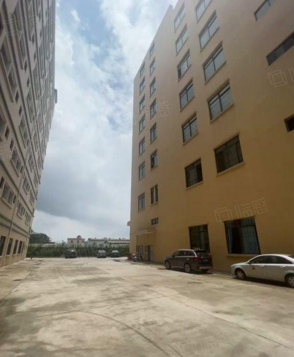 园洲实际面积8元全新原房东厂房招租好招工可分租