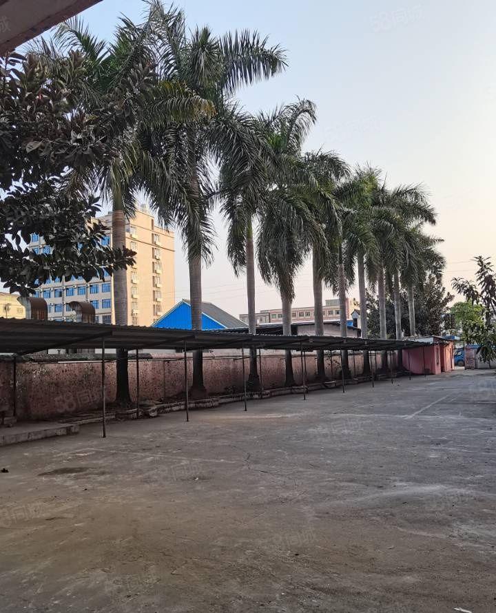 独门独院标准厂房出租 工业用地 可办环评 国土证