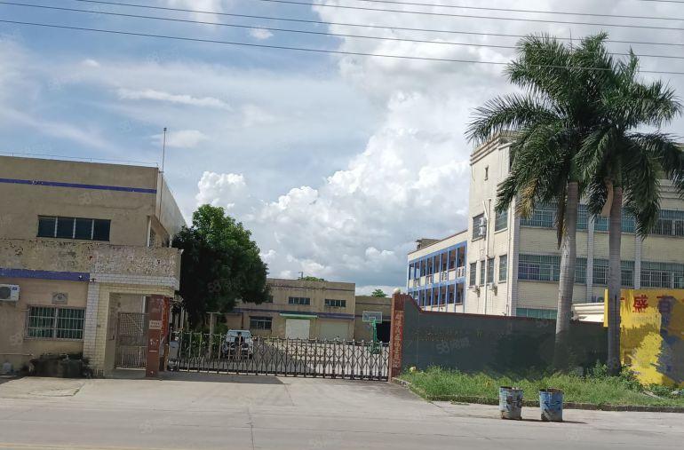 独门独院单一层厂房出租 分租500 石湾厂房出租 原房东厂房