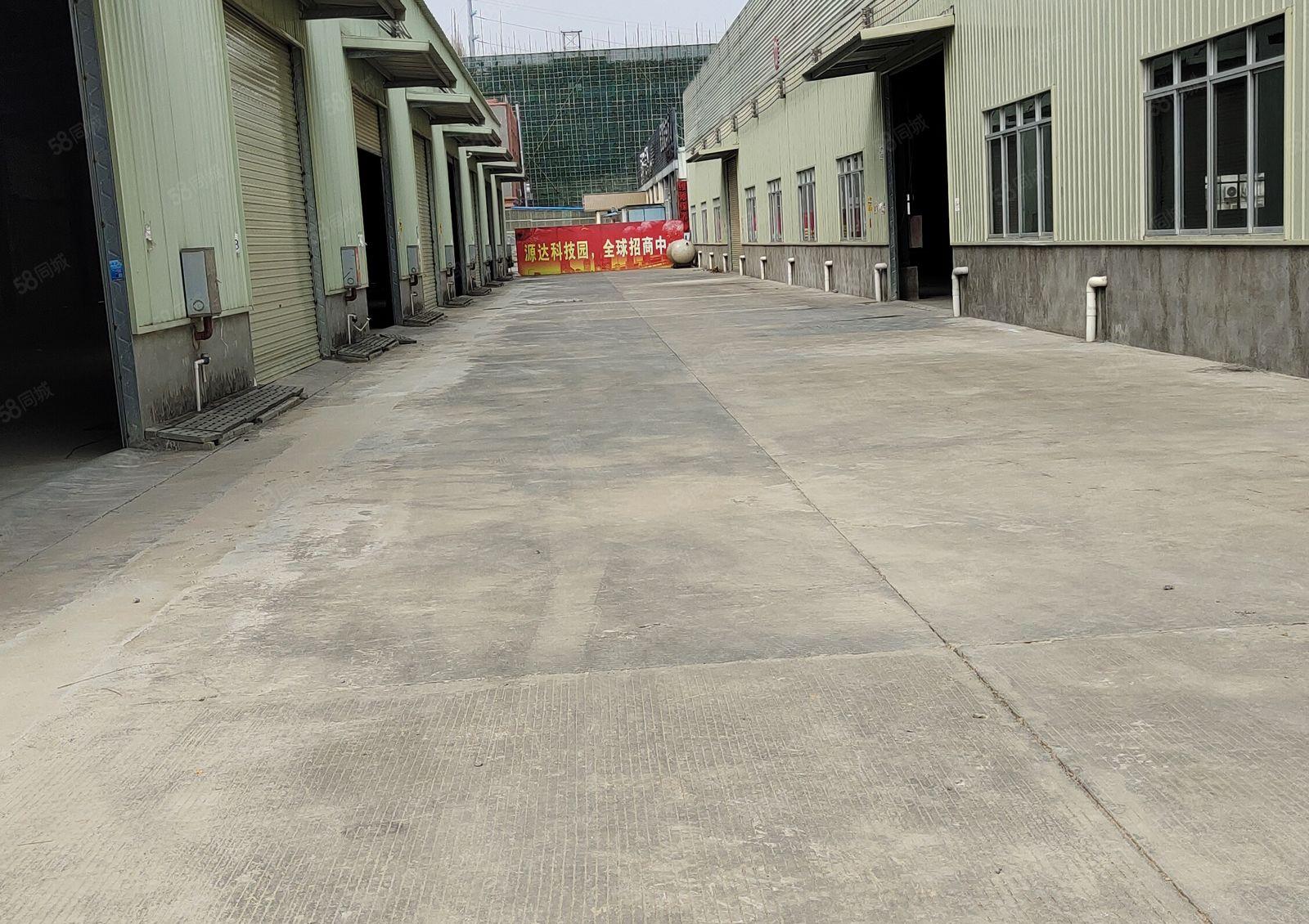 石湾大道也单一层钢构厂房5000平方，500平方起分租