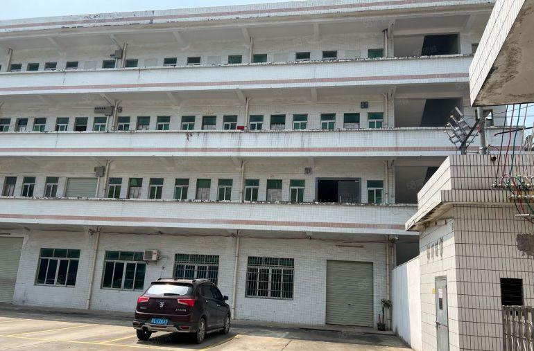 园洲！新空出园区！单一层！