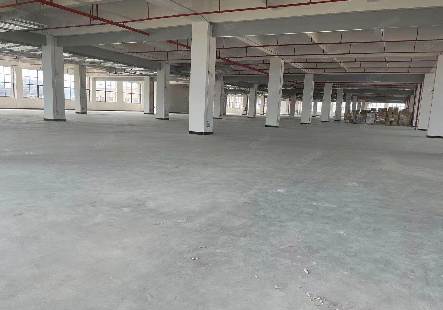 石湾镇产业园红本厂房15块起租