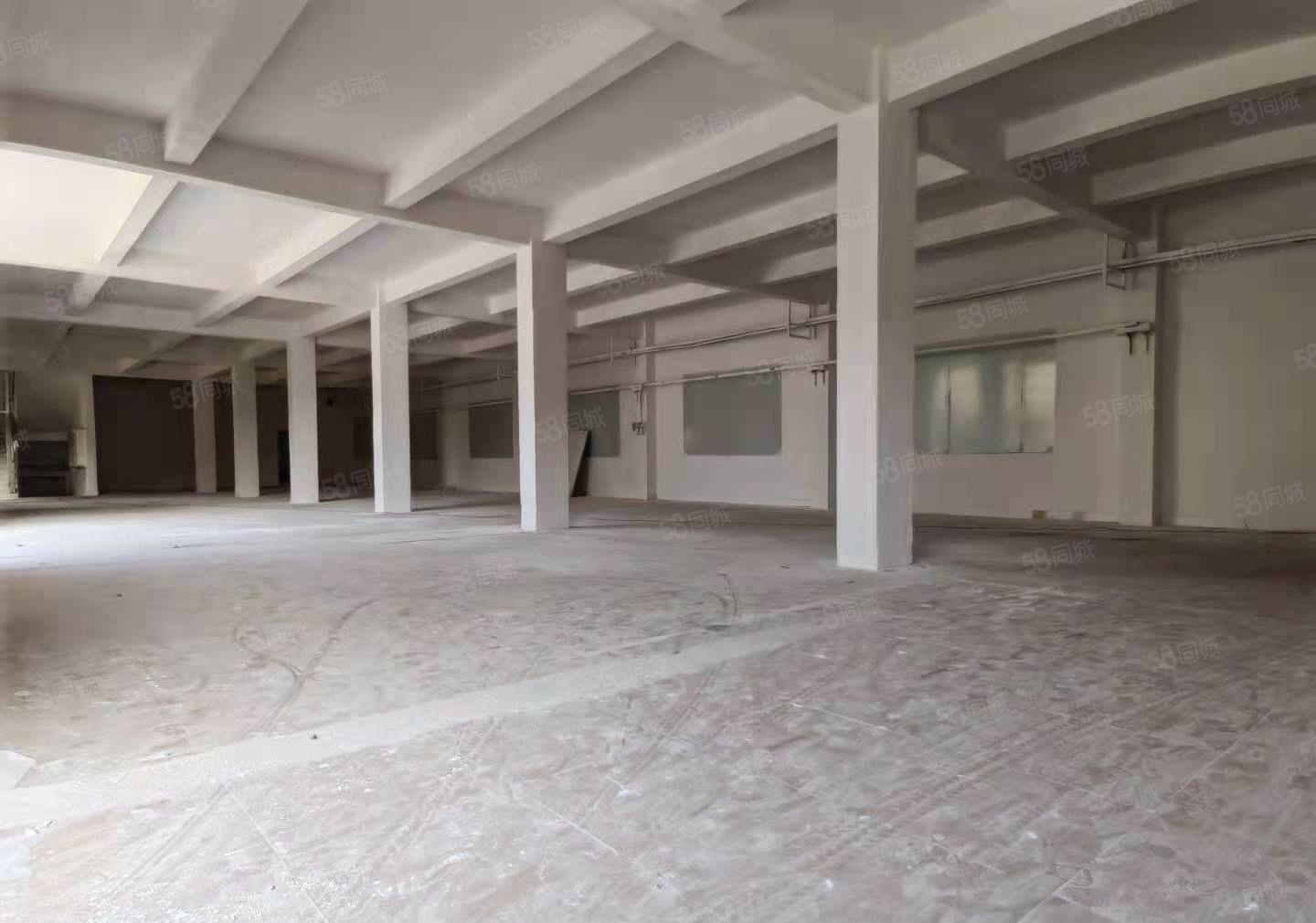 独院钢构村委厂房出租 可分租大小面积 厂房低价出租