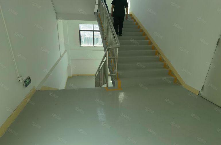 6元原房东博罗杨村独栋4000平可分租，水电到位，带地坪漆