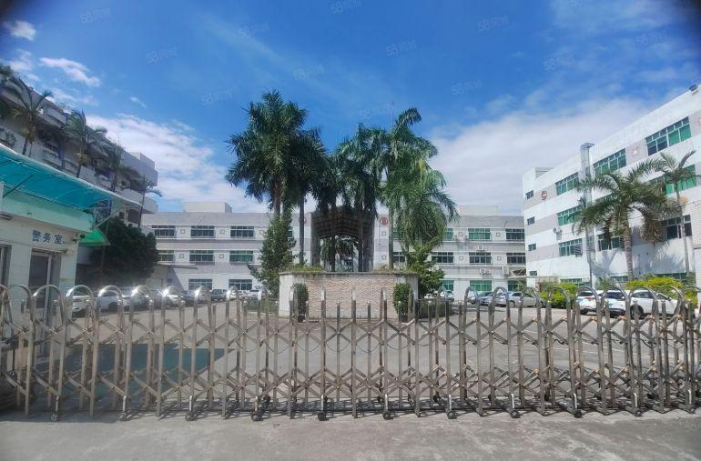 石湾镇区每层2000平花园式独院厂房可分租