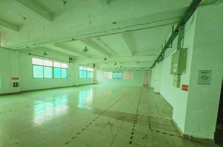 园洲国道边本地业主实地面积分租，关系好