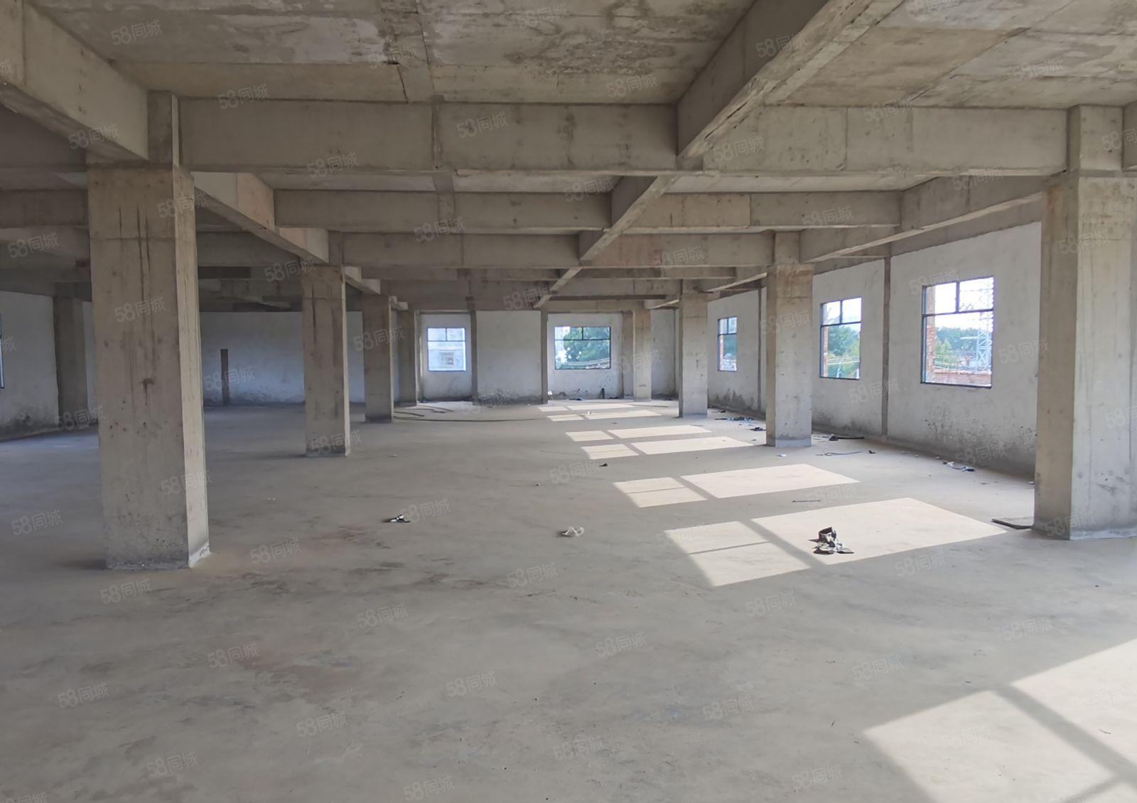 龙溪独院厂房出租旁边无居民价格便宜