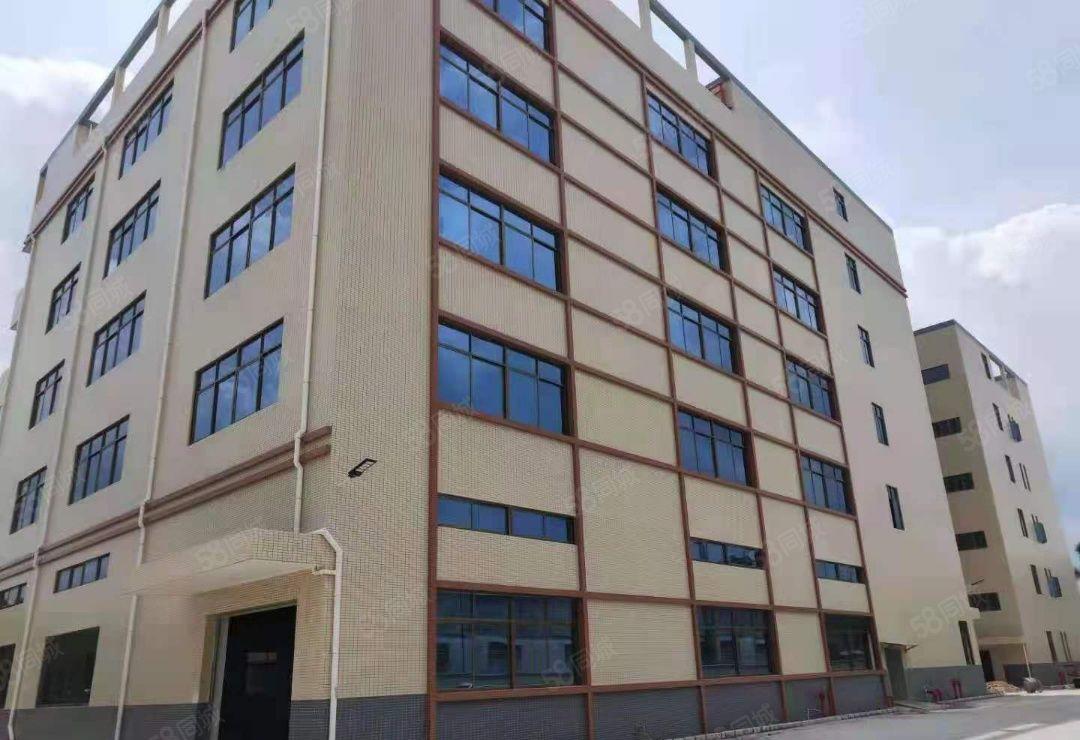 精选厂房 大小可分租 工业厂房 自建房 电梯厂房可分租